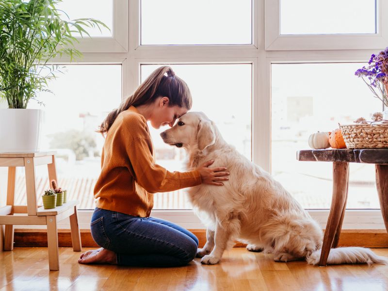 Expanding Your Therapeutic Approach with Animal-Assisted Therapy
